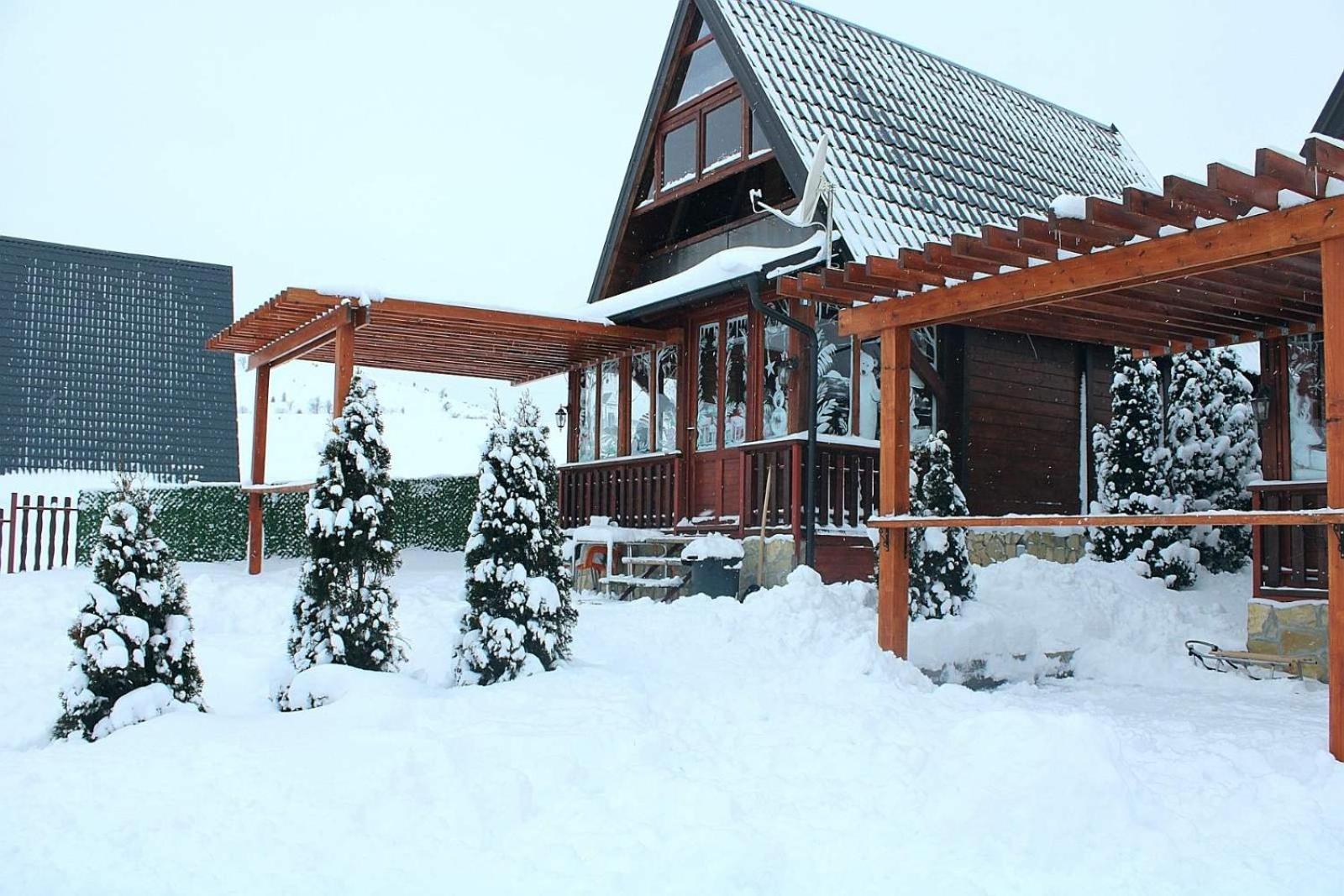 Вілла Zlatibor Brvnara Mir Екстер'єр фото